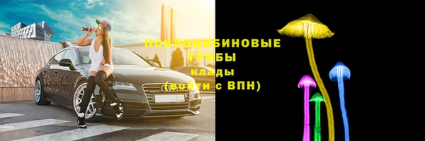 первитин Алексин