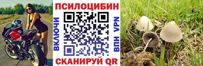 Галлюциногенные грибы Cubensis  Купить  Волосово 